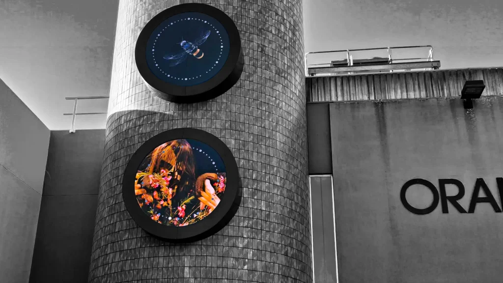 Outdoor LED screen display on commercial shopfront with daylight visibility